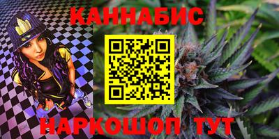 шишки Будённовск