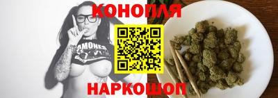 шишки Будённовск