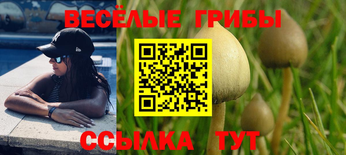 Кунгур  Псилоцибиновые грибы Psilocybine cubensis  Вход с VPN 